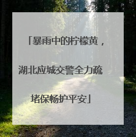 暴雨中的柠檬黄，湖北应城交警全力疏堵保畅护平安