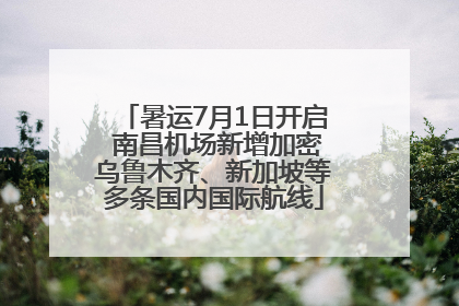 暑运7月1日开启 南昌机场新增加密乌鲁木齐、新加坡等多条国内国际航线