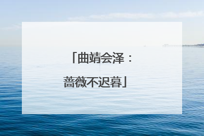 曲靖会泽：蔷薇不迟暮