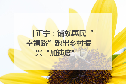 正宁：铺就惠民“幸福路”跑出乡村振兴“加速度”