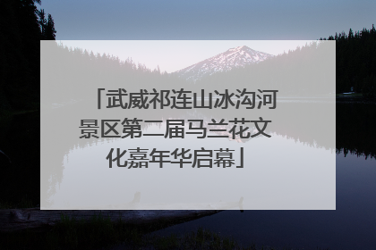 武威祁连山冰沟河景区第二届马兰花文化嘉年华启幕