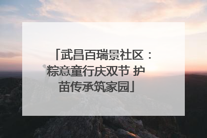武昌百瑞景社区：粽意童行庆双节 护苗传承筑家园