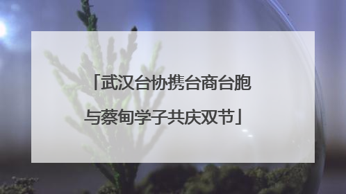 武汉台协携台商台胞与蔡甸学子共庆双节
