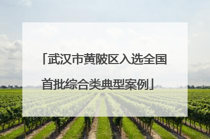 武汉市黄陂区入选全国首批综合类典型案例