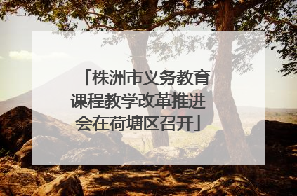 株洲市义务教育课程教学改革推进会在荷塘区召开
