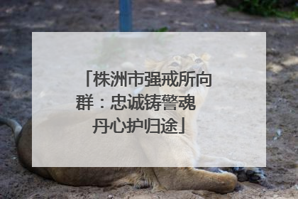 株洲市强戒所向群：忠诚铸警魂 丹心护归途
