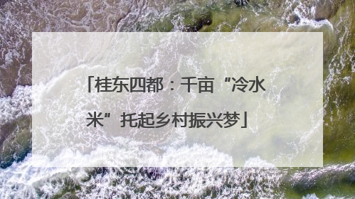 桂东四都：千亩“冷水米”托起乡村振兴梦