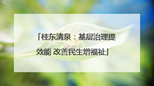 桂东清泉：基层治理提效能 改善民生增福祉