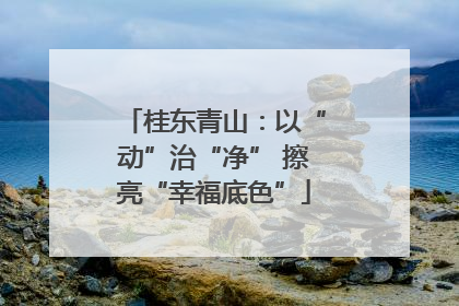 桂东青山：以“动”治“净” 擦亮“幸福底色”