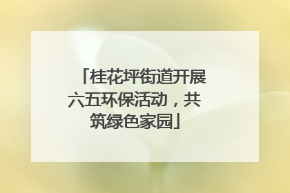 桂花坪街道开展六五环保活动，共筑绿色家园