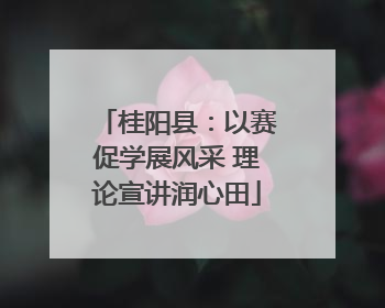 桂阳县：以赛促学展风采 理论宣讲润心田