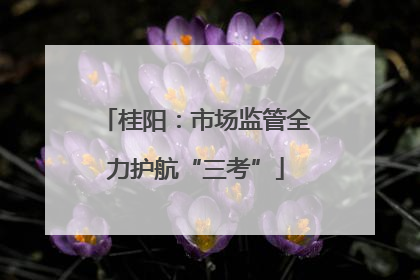 桂阳：市场监管全力护航“三考”