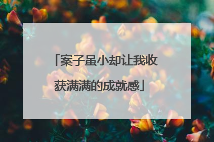 案子虽小却让我收获满满的成就感