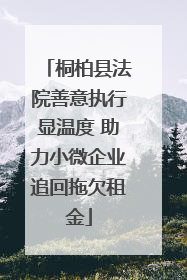 桐柏县法院善意执行显温度 助力小微企业追回拖欠租金
