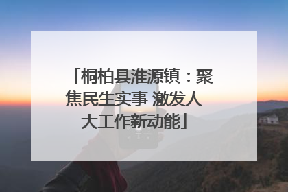 桐柏县淮源镇：聚焦民生实事 激发人大工作新动能