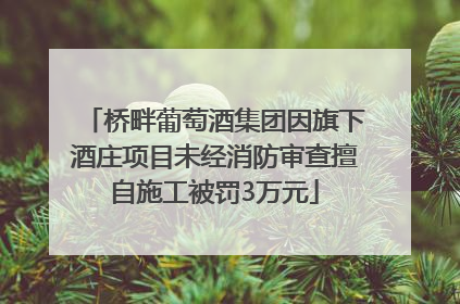 桥畔葡萄酒集团因旗下酒庄项目未经消防审查擅自施工被罚3万元