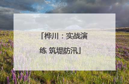 桦川：实战演练 筑堤防汛