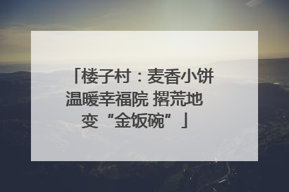 楼子村：麦香小饼温暖幸福院 撂荒地变“金饭碗”