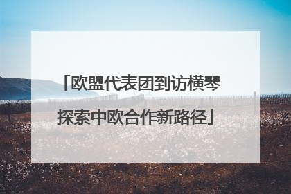 欧盟代表团到访横琴 探索中欧合作新路径