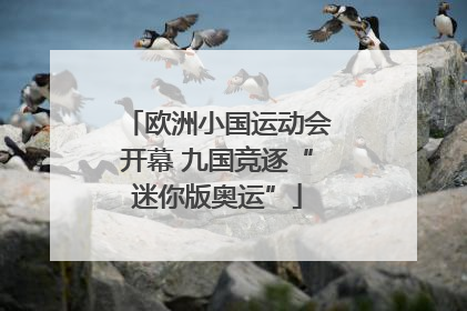 欧洲小国运动会开幕 九国竞逐“迷你版奥运”