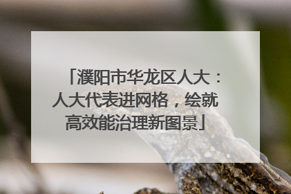 濮阳市华龙区人大：人大代表进网格，绘就高效能治理新图景