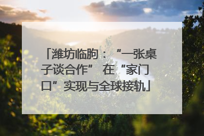 潍坊临朐：“一张桌子谈合作” 在“家门口”实现与全球接轨