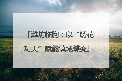 潍坊临朐：以“绣花功夫”赋能镇域蝶变