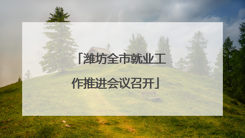 潍坊全市就业工作推进会议召开