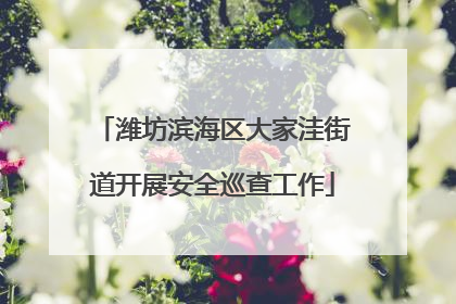 潍坊滨海区大家洼街道开展安全巡查工作
