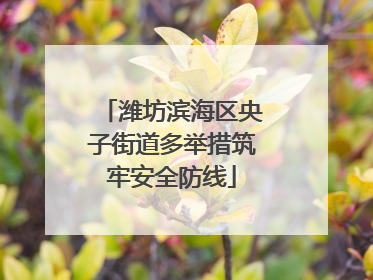 潍坊滨海区央子街道多举措筑牢安全防线