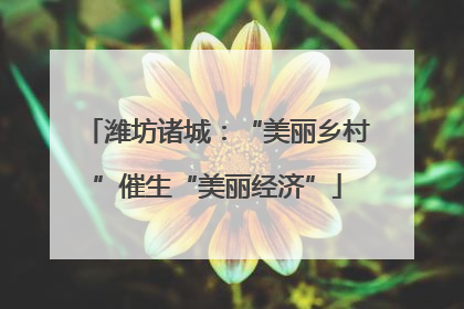 潍坊诸城：“美丽乡村”催生“美丽经济”