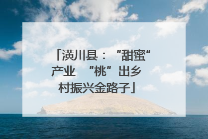 潢川县：“甜蜜”产业  “桃”出乡村振兴金路子