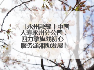 永州融耀丨中国人寿永州分公司：四力擎旗践初心 服务潇湘助发展