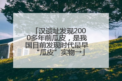 汉遗址发现2000多年前瓜皮，是我国目前发现时代最早“瓜皮”实物→