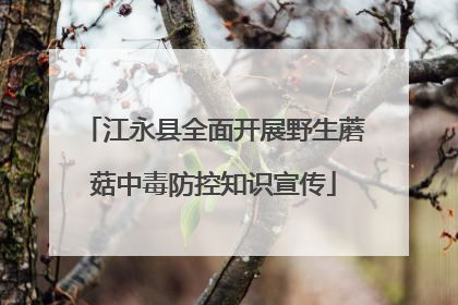 江永县全面开展野生蘑菇中毒防控知识宣传