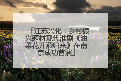 江苏兴化：乡村振兴题材现代淮剧《油菜花开燕归来》在南京成功首演