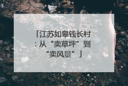 江苏如皋钱长村：从“卖草坪”到“卖风景”