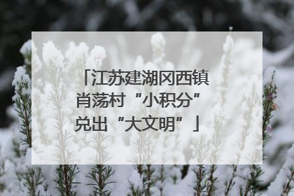 江苏建湖冈西镇肖荡村“小积分”兑出“大文明”