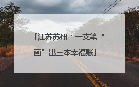江苏苏州：一支笔“画”出三本幸福账