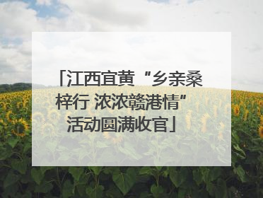 江西宜黄“乡亲桑梓行 浓浓赣港情”活动圆满收官