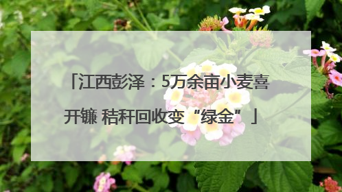江西彭泽：5万余亩小麦喜开镰 秸秆回收变“绿金”