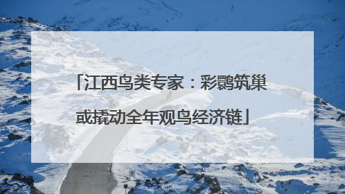 江西鸟类专家：彩鹮筑巢或撬动全年观鸟经济链