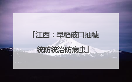 江西：早稻破口抽穗 统防统治防病虫