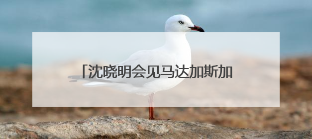 沈晓明会见马达加斯加外交部长拉萨塔一行