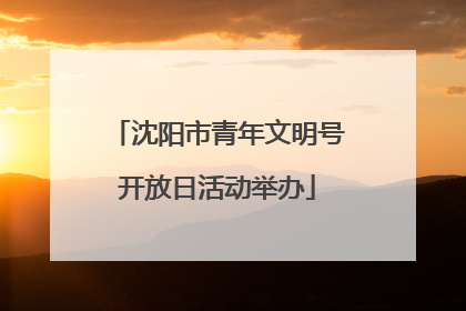 沈阳市青年文明号开放日活动举办