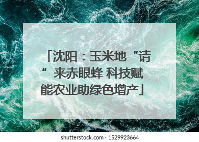 沈阳：玉米地“请”来赤眼蜂 科技赋能农业助绿色增产