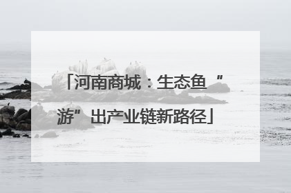 河南商城：生态鱼“游”出产业链新路径