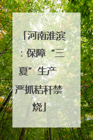 河南淮滨：保障“三夏”生产 严抓秸秆禁烧