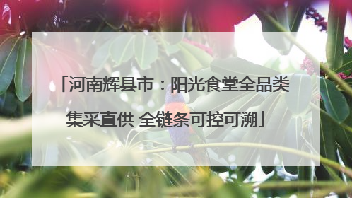 河南辉县市：阳光食堂全品类集采直供 全链条可控可溯