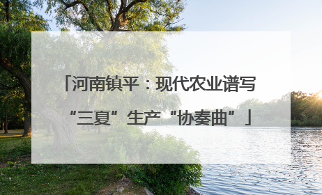 河南镇平：现代农业谱写“三夏”生产“协奏曲”